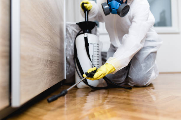 Best Bed Bug Extermination  in Herrin, IL