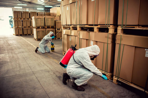 Best Wildlife Control Services  in Herrin, IL