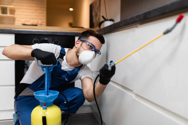 Best Mosquito Control Services  in Herrin, IL
