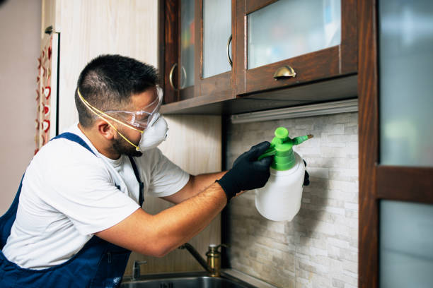 Best Residential Pest Control  in Herrin, IL