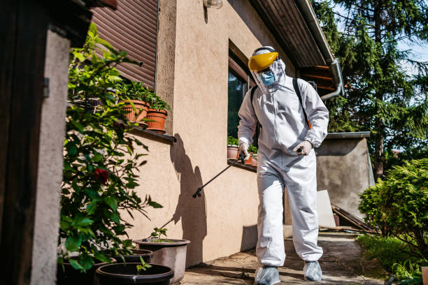 Best Cockroach Control Services  in Herrin, IL