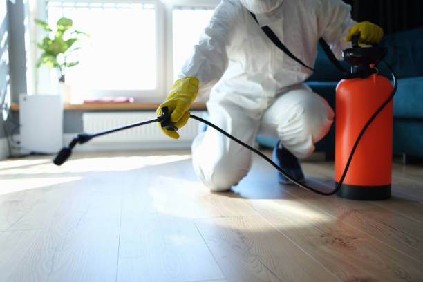 Best Pest Removal Services  in Herrin, IL