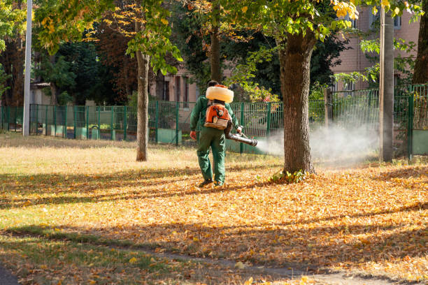 Best Commercial Pest Control Services  in Herrin, IL