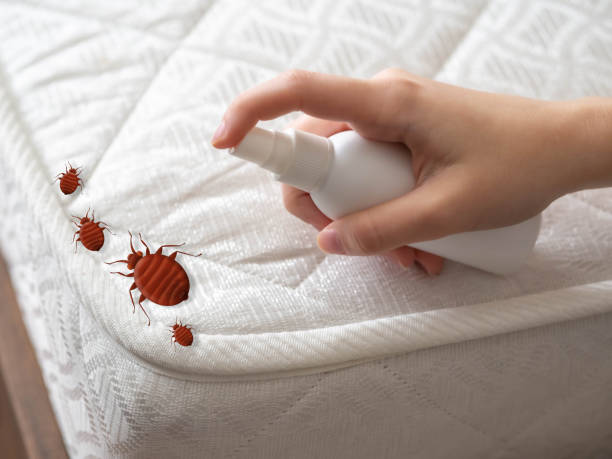 Best Affordable Pest Control Services  in Herrin, IL