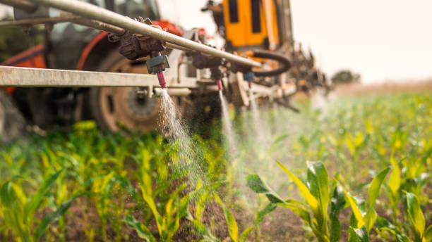 Best Wildlife Control Services  in Herrin, IL